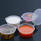 Leak-Proof Plastic Condiment Containers with Hinged Lid - 10oz, 20oz, 40oz