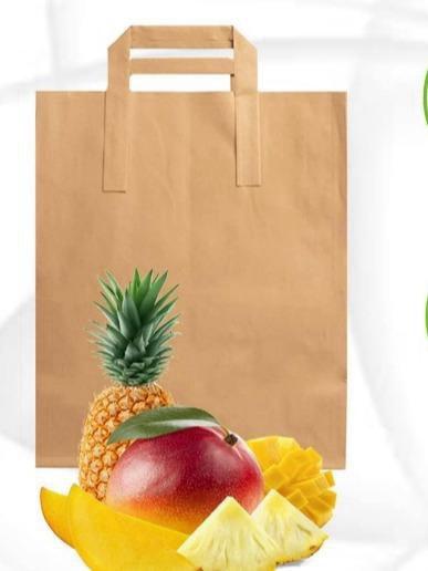 Paper Bags with Handle Small, Medium, Large for Groceries & Takeaway